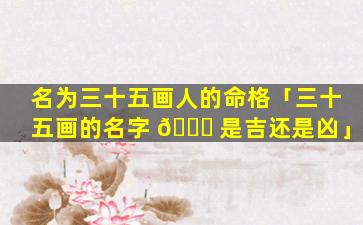 名为三十五画人的命格「三十五画的名字 🐎 是吉还是凶」